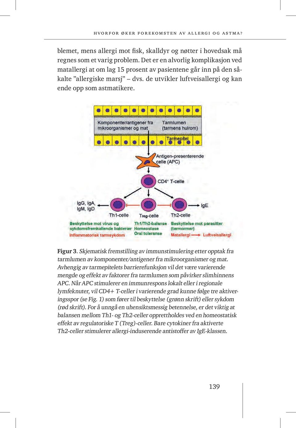 Skjematisk fremstilling av immunstimulering etter opptak fra tarmlumen av komponenter/antigener fra mikroorganismer og mat.