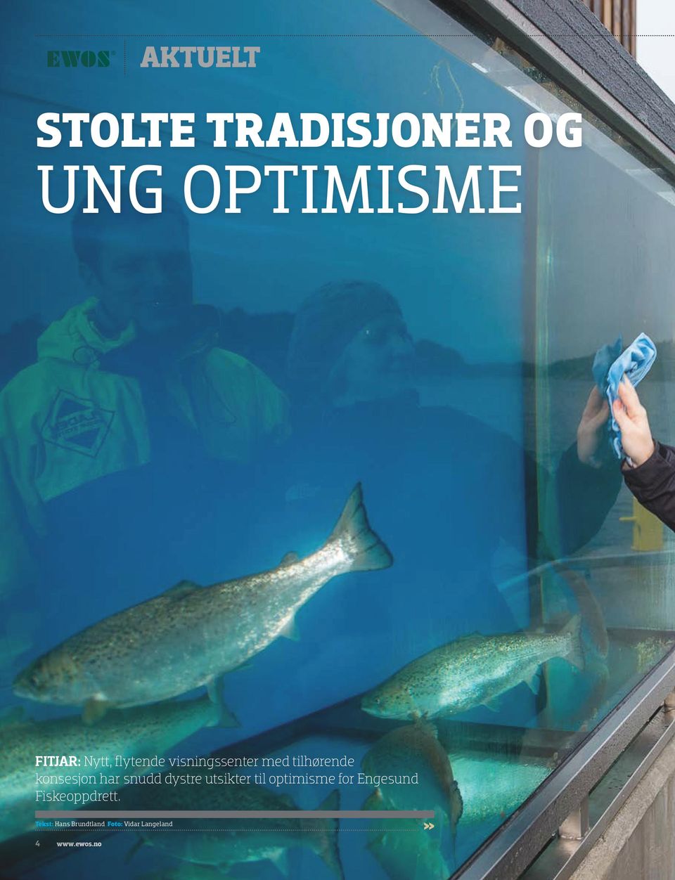 dystre utsikter til optimisme for Engesund Fiskeoppdrett.