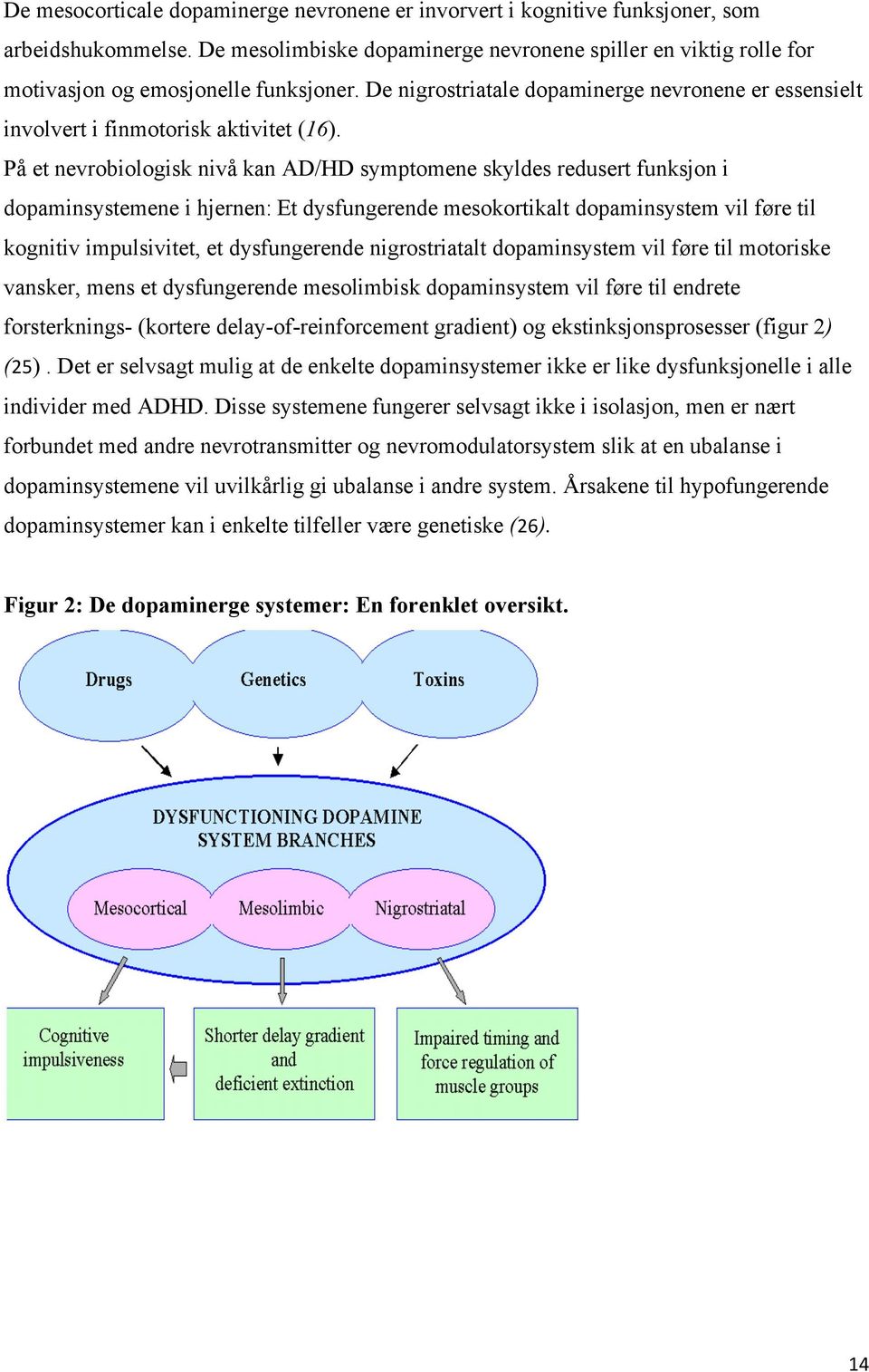 På et nevrobiologisk nivå kan AD/HD symptomene skyldes redusert funksjon i dopaminsystemene i hjernen: Et dysfungerende mesokortikalt dopaminsystem vil føre til kognitiv impulsivitet, et