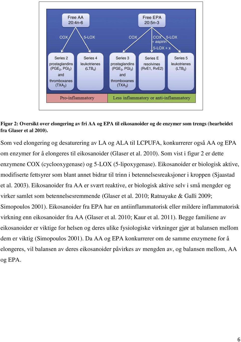 Som vist i figur 2 er dette enzymene COX (cyclooxygenase) og 5-LOX (5-lipoxygenase).