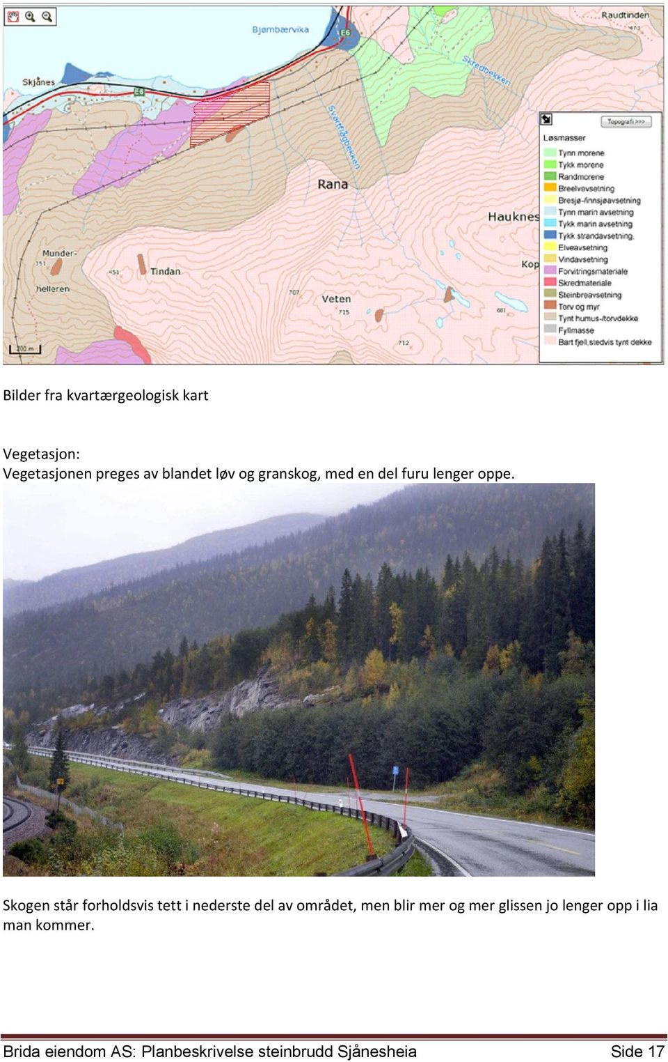 Skogen står forholdsvis tett i nederste del av området, men blir mer og mer