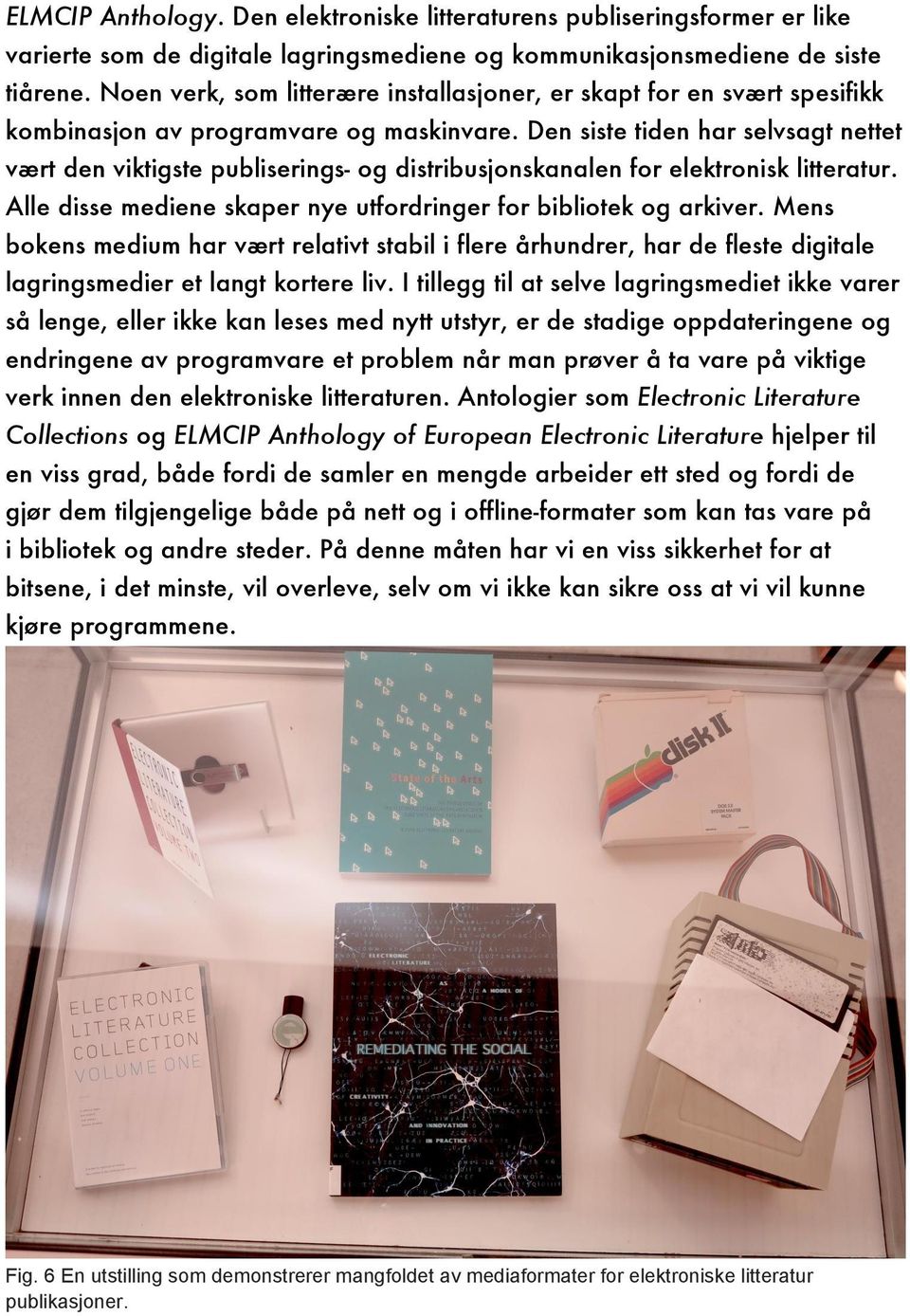 Den siste tiden har selvsagt nettet vært den viktigste publiserings- og distribusjonskanalen for elektronisk litteratur. Alle disse mediene skaper nye utfordringer for bibliotek og arkiver.