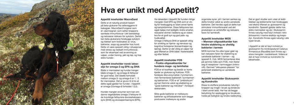 Derfor kan beta-glukanene forebygge sykdom og lidelser som forårsakes av virus, bakterier, sopp og parasitter hos hund.