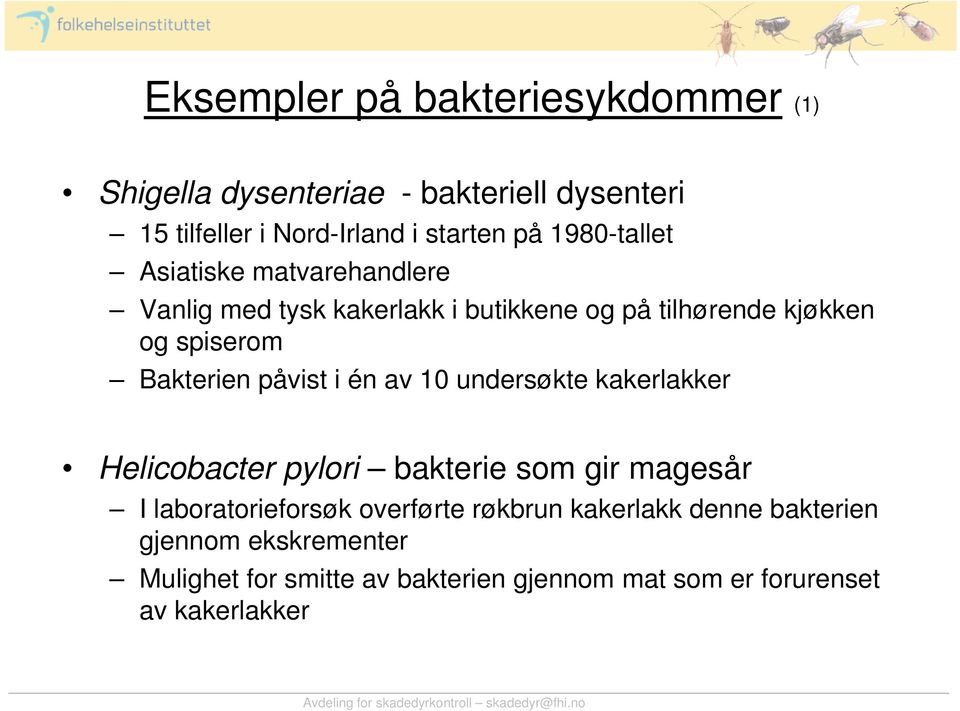 påvist i én av 10 undersøkte kakerlakker Helicobacter pylori bakterie som gir magesår I laboratorieforsøk overførte