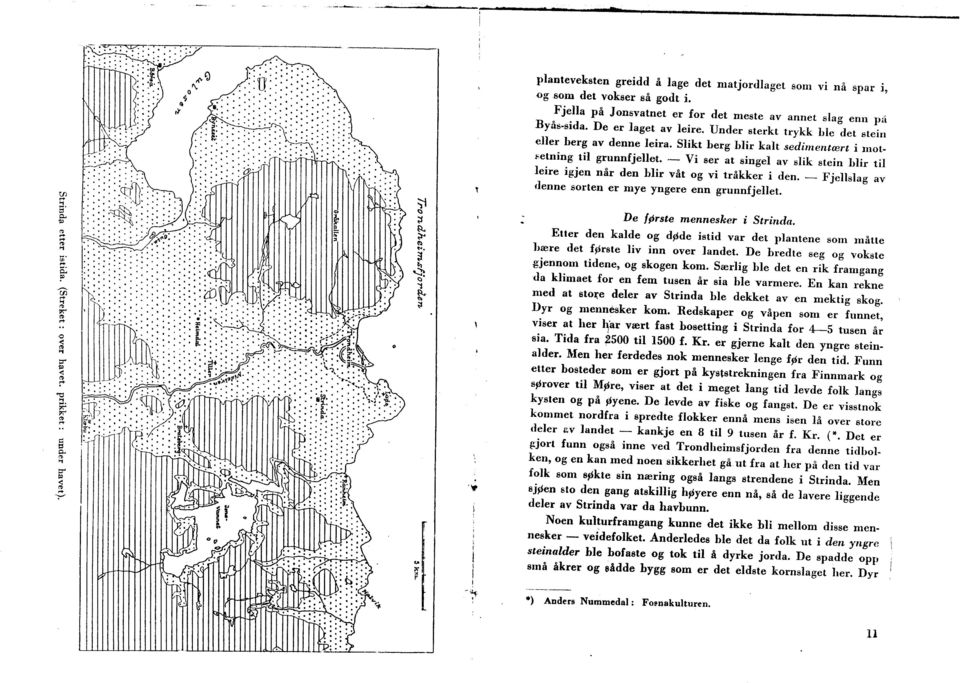 . ~.. Fjella på Jonsvatnet er for det meste av annet slag enn pil Byås-sida. De er laget av leire. Under sterkt trykk hle det stein e]]er herg av denne leira.