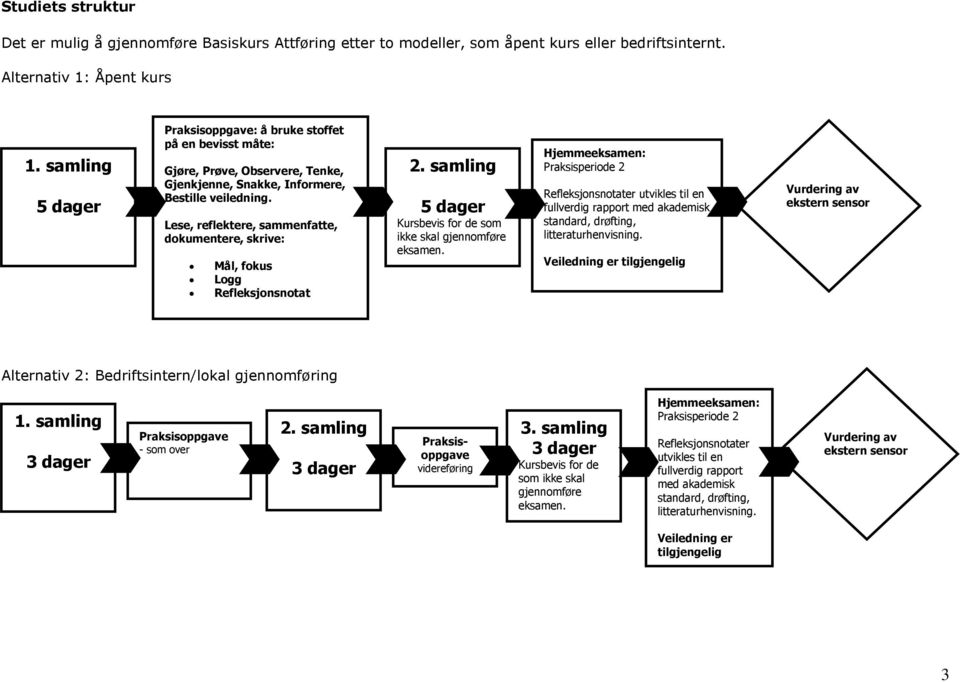 Lese, reflektere, sammenfatte, dokumentere, skrive: Mål, fokus Logg Refleksjonsnotat 2. samling 5 dager Kursbevis for de som ikke skal gjennomføre eksamen.