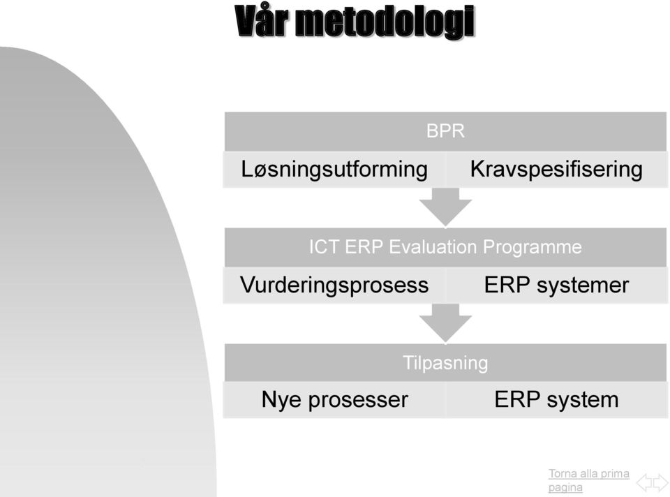 Programme Vurderingsprosess ERP