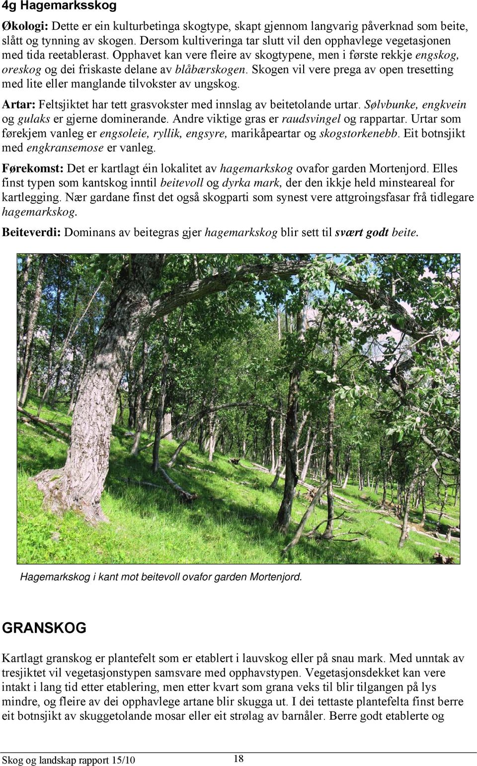 Opphavet kan vere fleire av skogtypene, men i første rekkje engskog, oreskog og dei friskaste delane av blåbærskogen.