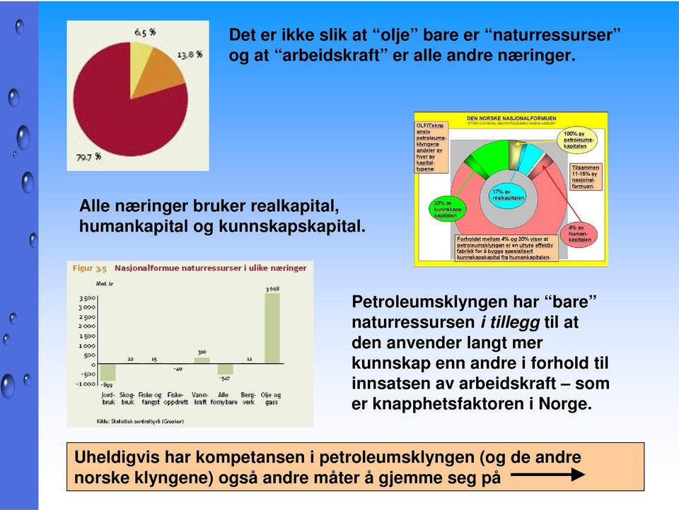 Petroleumsklyngen har bare naturressursen i tillegg til at den anvender langt mer kunnskap enn andre i forhold