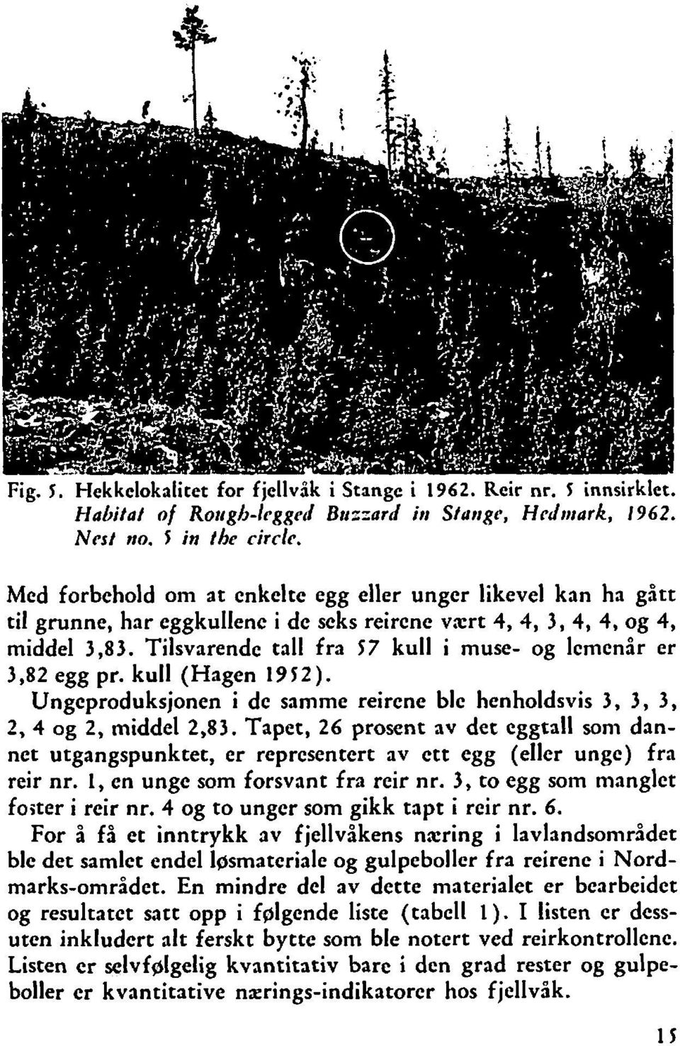 Tilsvarende tall fra 57 kull i muse- og lemenår er 3,82 egg pr. kull (Hagen 1952). Ungeproduksjonen i de samme reircne ble henholdsvis 3, 3, 3, 2,4 og 2, middel 2,83.