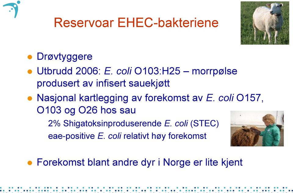 av forekomst av E. coli O157, O103 og O26 hos sau 2% Shigatoksinproduserende E.