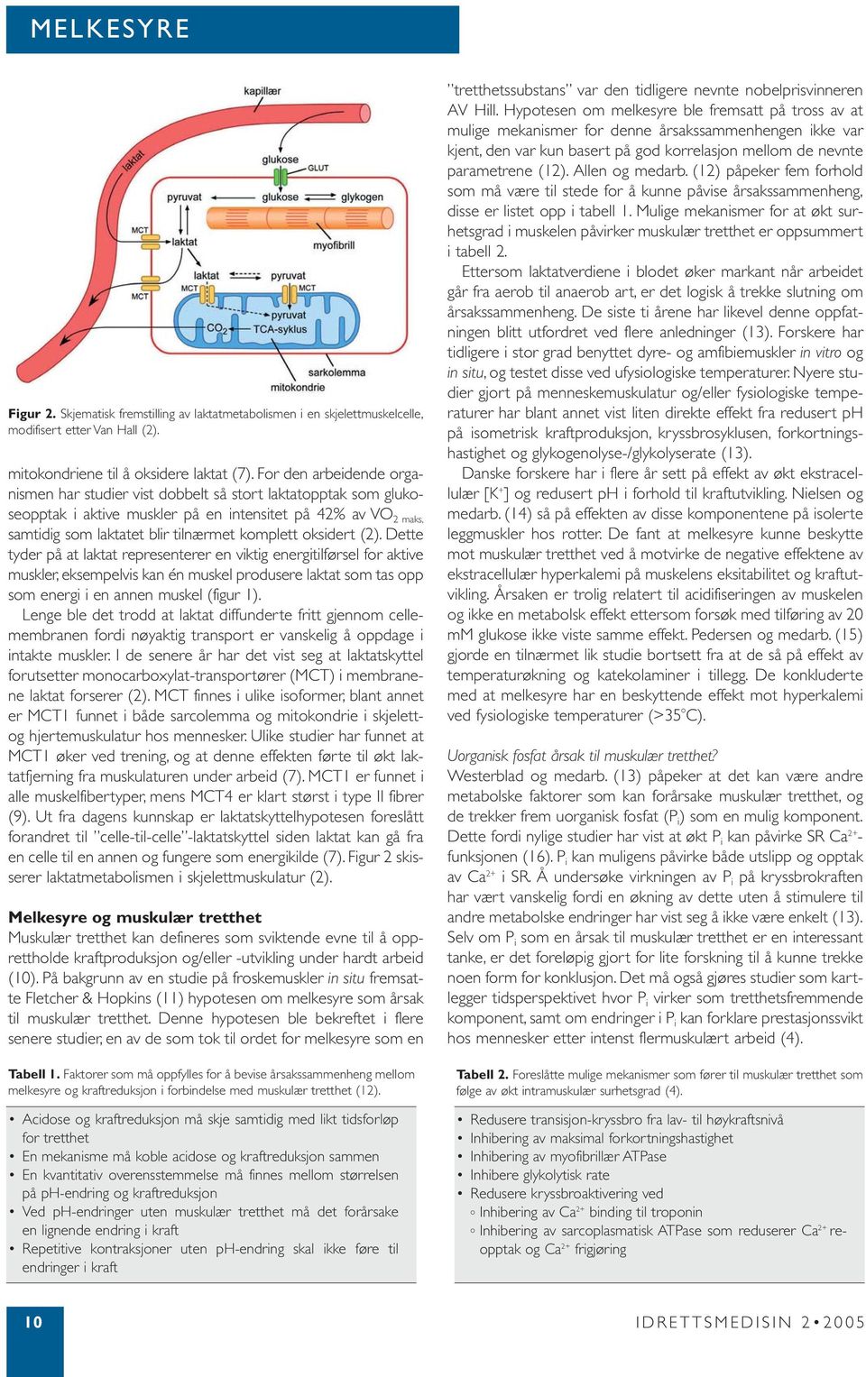 oksidert (2). Dette tyder på at laktat representerer en viktig energitilførsel for aktive muskler, eksempelvis kan én muskel produsere laktat som tas opp som energi i en annen muskel (figur 1).