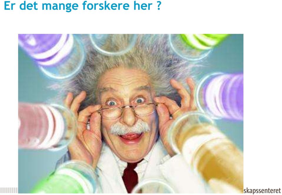 forskere