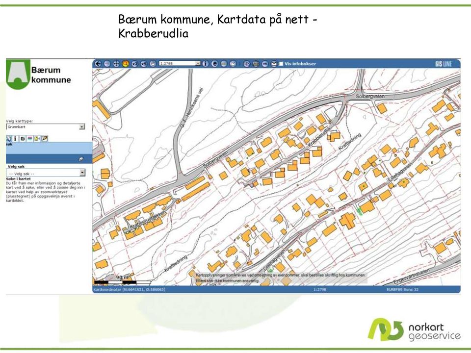 Kartdata på