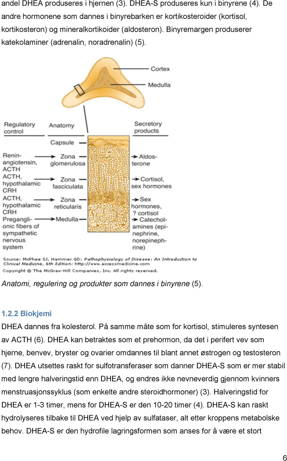 Anatomi, regulering og produkter som dannes i binyrene (5). 1.2.2 Biokjemi DHEA dannes fra kolesterol. På samme måte som for kortisol, stimuleres syntesen av ACTH (6).