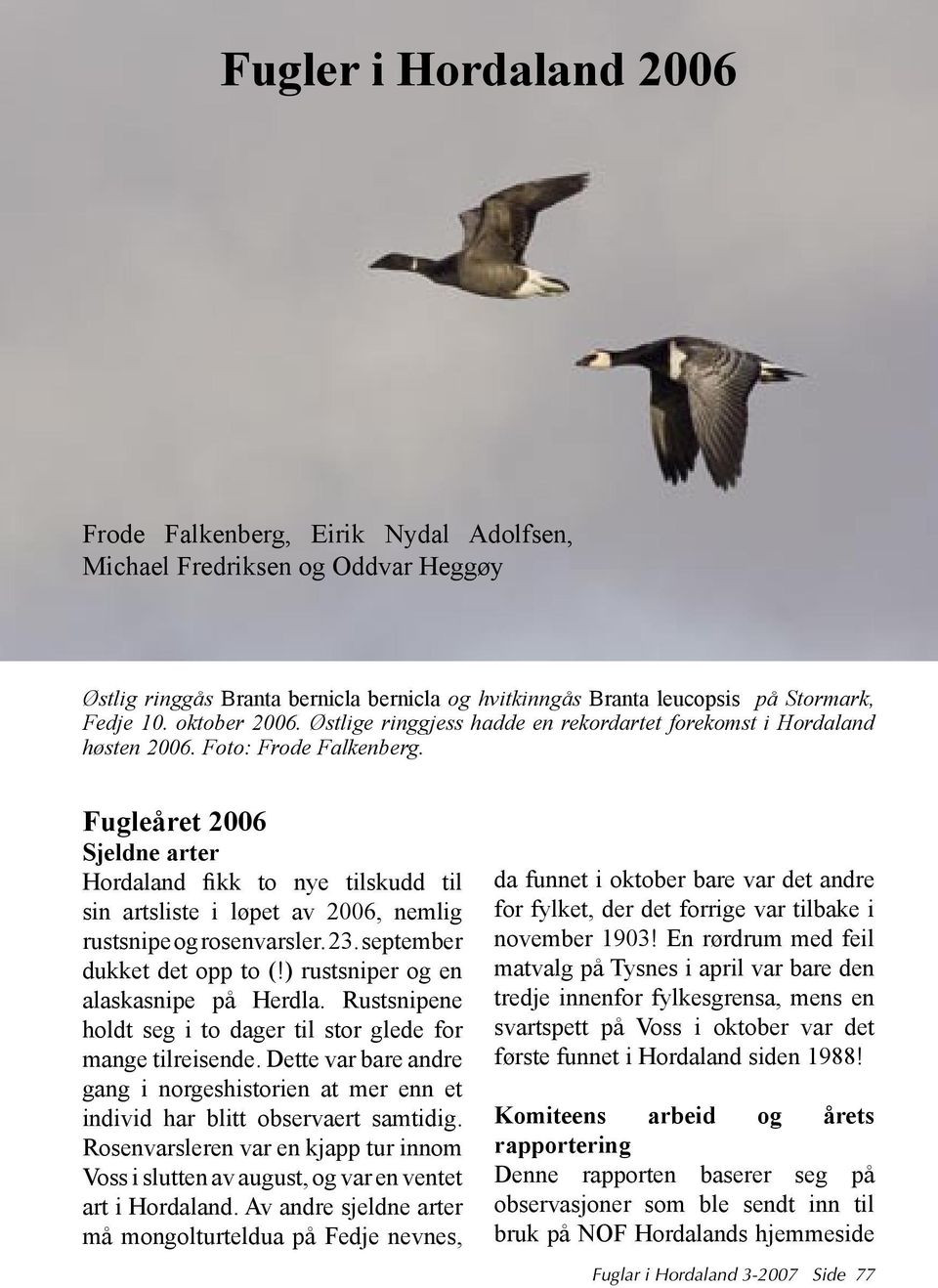 Fugleåret 2006 Sjeldne arter Hordaland fikk to nye tilskudd til sin artsliste i løpet av 2006, nemlig rustsnipe og rosenvarsler. 23. september dukket det opp to (!