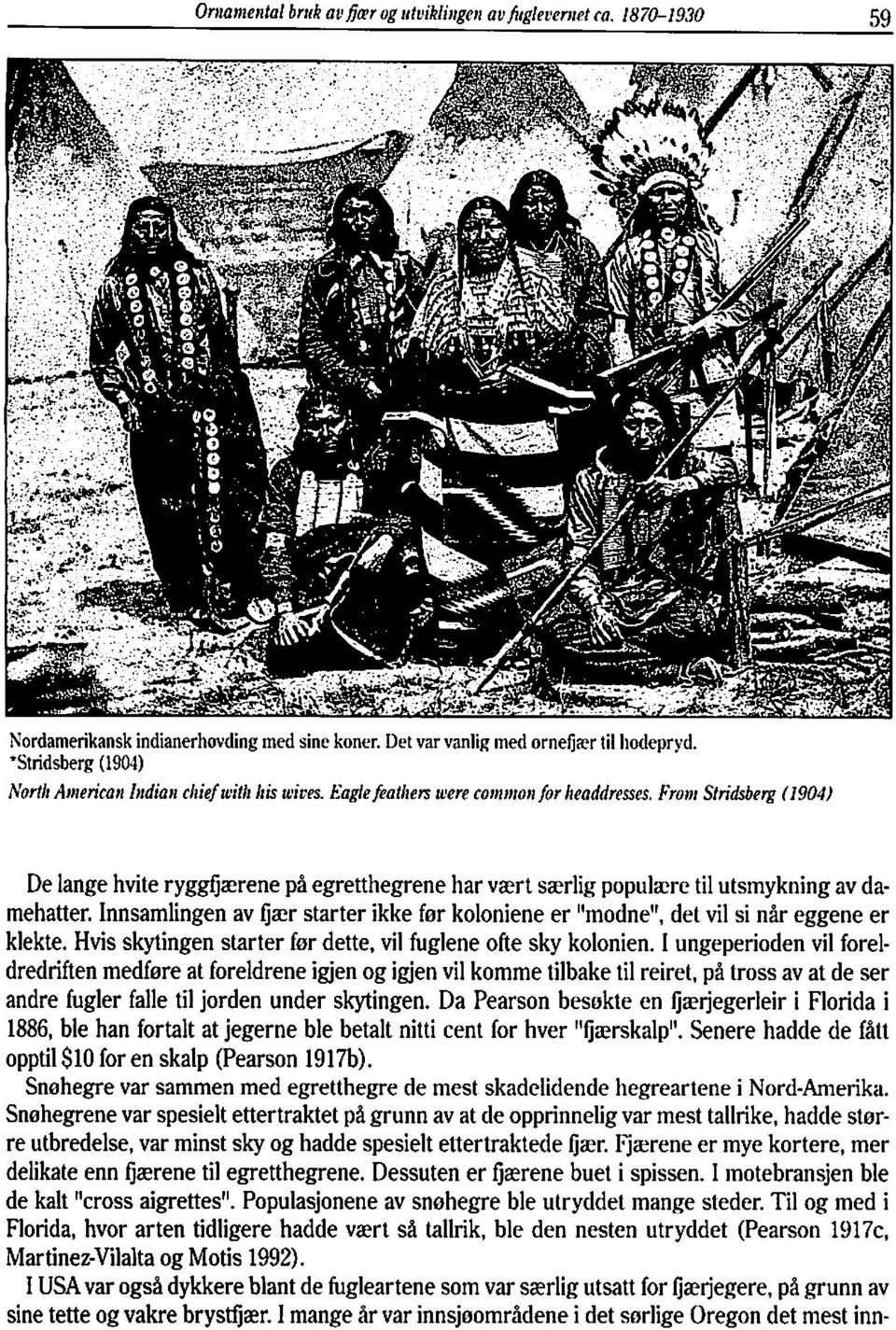 Froni Stridsberg (1904) De lange hvite ryggfjaerene på egretthegrene har vært særlig poplilatre til uts~nykning av damehatter.