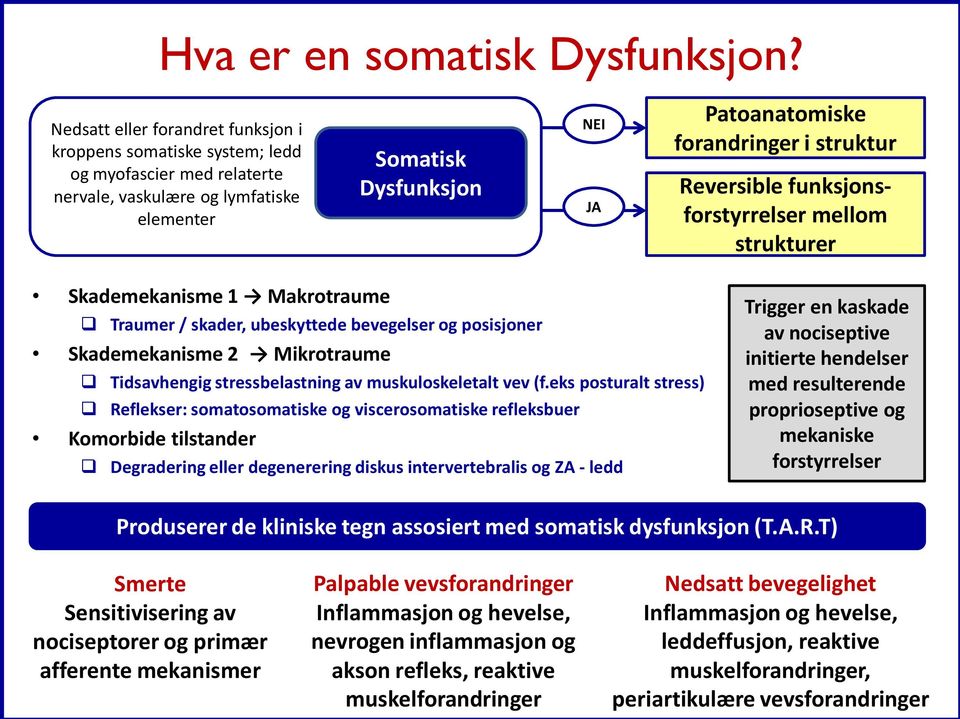 struktur Reversible funksjonsforstyrrelser mellom strukturer Skademekanisme 1 Makrotraume Traumer / skader, ubeskyttede bevegelser og posisjoner Skademekanisme 2 Mikrotraume Tidsavhengig