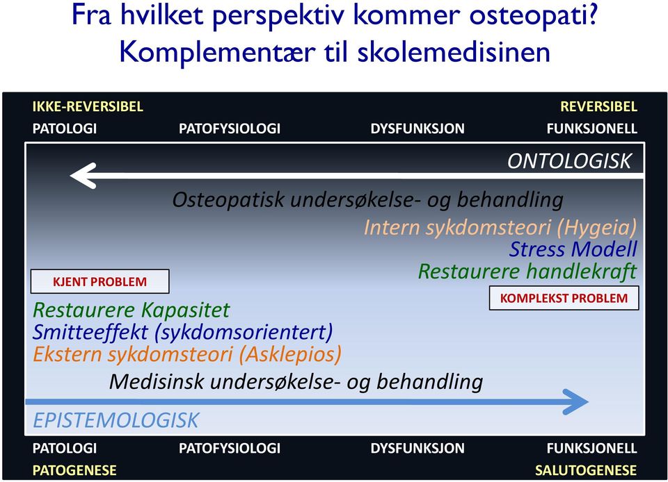 FUNKSJONELL ONTOLOGISK Osteopatisk undersøkelse- og behandling Intern sykdomsteori (Hygeia) Stress Modell Restaurere