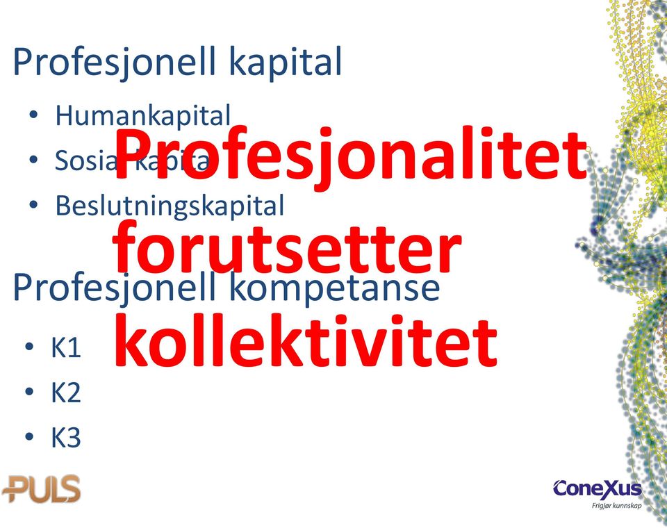 Beslutningskapital forutsetter