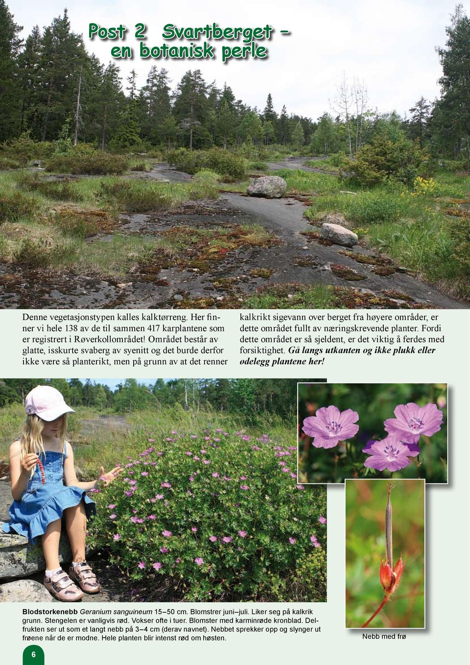 fullt av næringskrevende planter. Fordi dette området er så sjeldent, er det viktig å ferdes med forsiktighet. Gå langs utkanten og ikke plukk eller ødelegg plantene her!