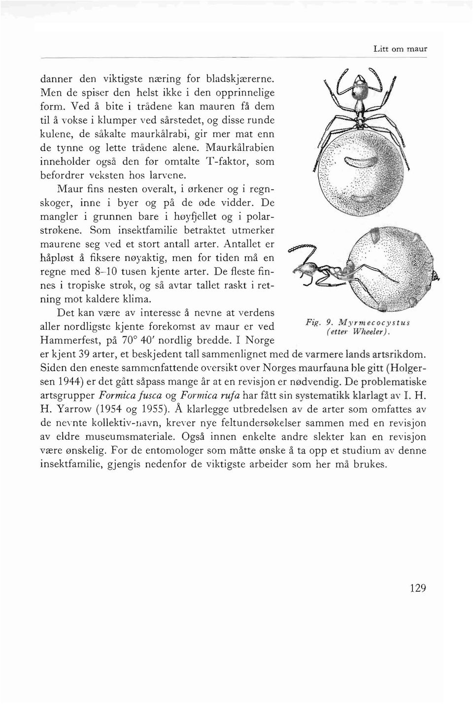 Maurkiilrabien inn eh older ogsa den for orntalte T -faktor, som befordrer veksten hos larvene. M aur fins nesten overalt, i ork ener og i reg n skoge r, inn e i byer og pa de ode vidder.