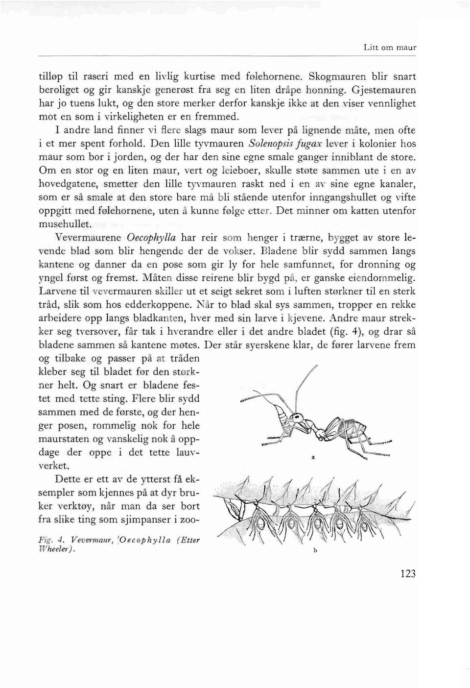 I andre land firmer vi flere slags maur som lever pa lignende mate, men ofte i et mer spent forhold.