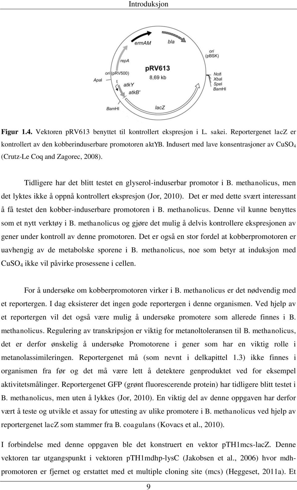 methanolicus, men det lyktes ikke å oppnå kontrollert ekspresjon (Jor, 2010). Det er med dette svært interessant å få testet den kobber-induserbare promotoren i B. methanolicus.