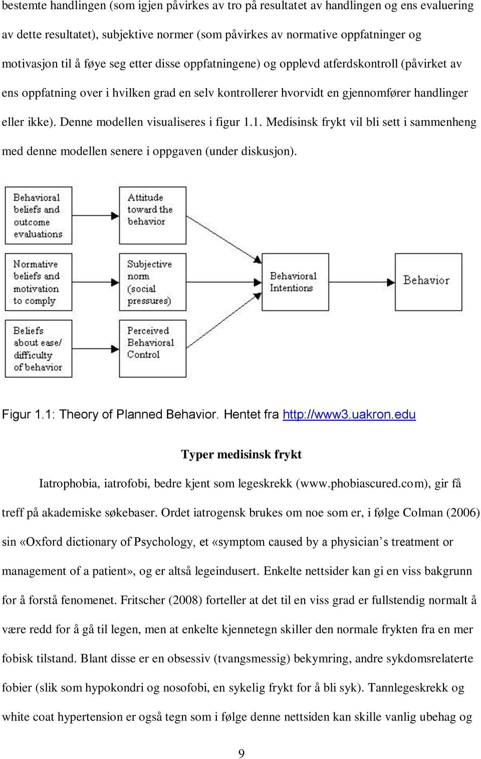 Denne modellen visualiseres i figur 1.1. Medisinsk frykt vil bli sett i sammenheng med denne modellen senere i oppgaven (under diskusjon). Figur 1.1: Theory of Planned Behavior.