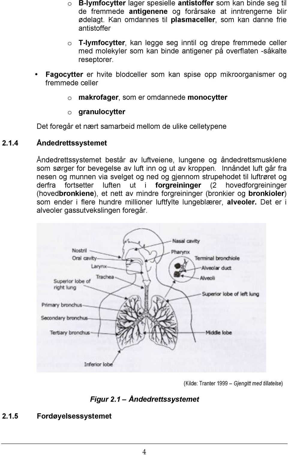 Fagocytter er hvite blodceller som kan spise opp mikroorganismer og fremmede celler o makrofager, som er omdannede monocytter o granulocytter Det foregår et nært samarbeid mellom de ulike celletypene