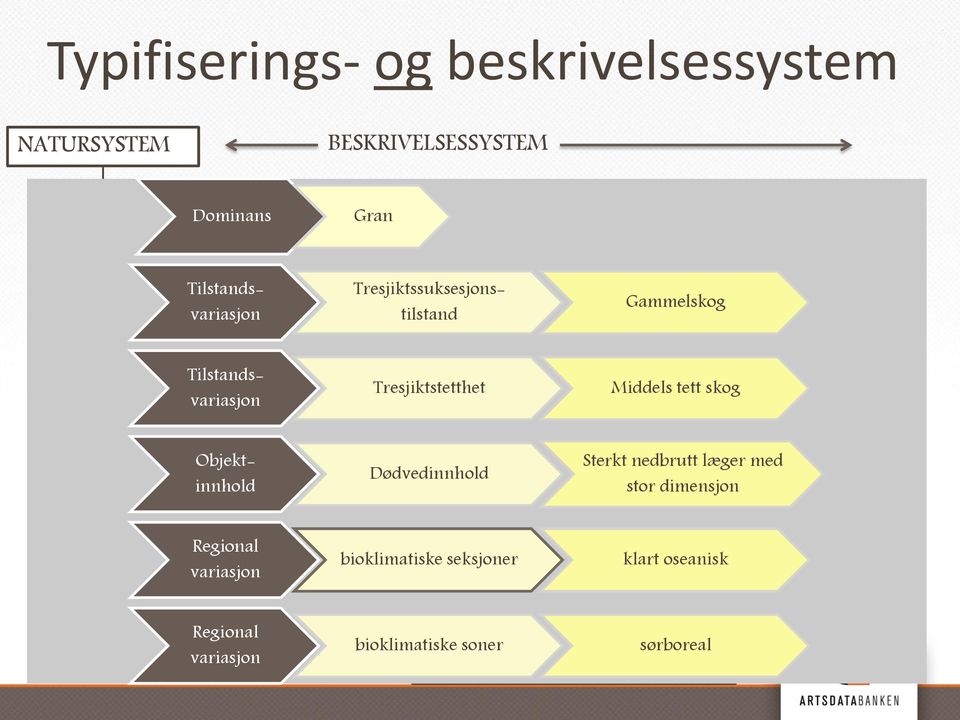 (landsystemer) Gran HTG 2 HTG 7 HT 1 Tresjiktssuksesjonstilstand 33 Hovedtype Flomskogsmark Tresjiktstetthet Tilstandsvariasjon 4 Hovedtype (Fastmarks-) skogsmark