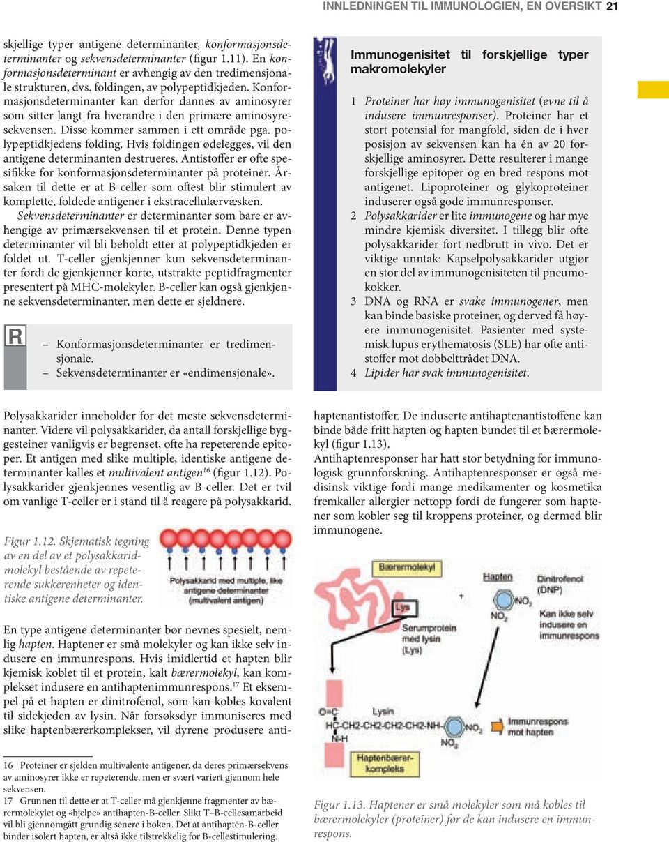 Konformasjonsdeterminanter kan derfor dannes av aminosyrer som sitter langt fra hverandre i den primære aminosyresekvensen. Disse kommer sammen i ett område pga. polypeptidkjedens folding.