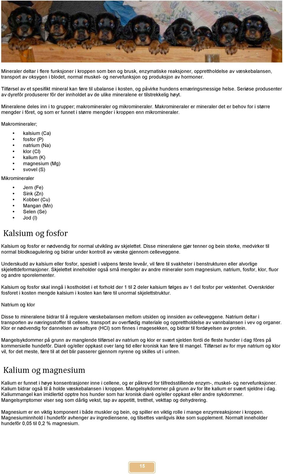 Seriøse produsenter av dyrefôr produserer fôr der innholdet av de ulike mineralene er tilstrekkelig høyt. Mineralene deles inn i to grupper; makromineraler og mikromineraler.