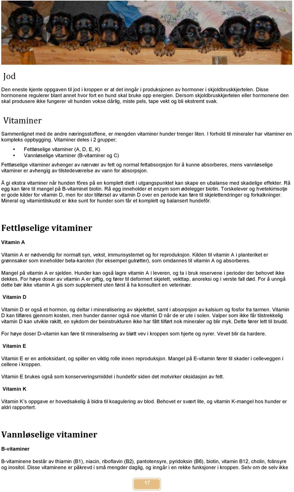 Vitaminer Sammenlignet med de andre næringsstoffene, er mengden vitaminer hunder trenger liten. I forhold til mineraler har vitaminer en kompleks oppbygging.