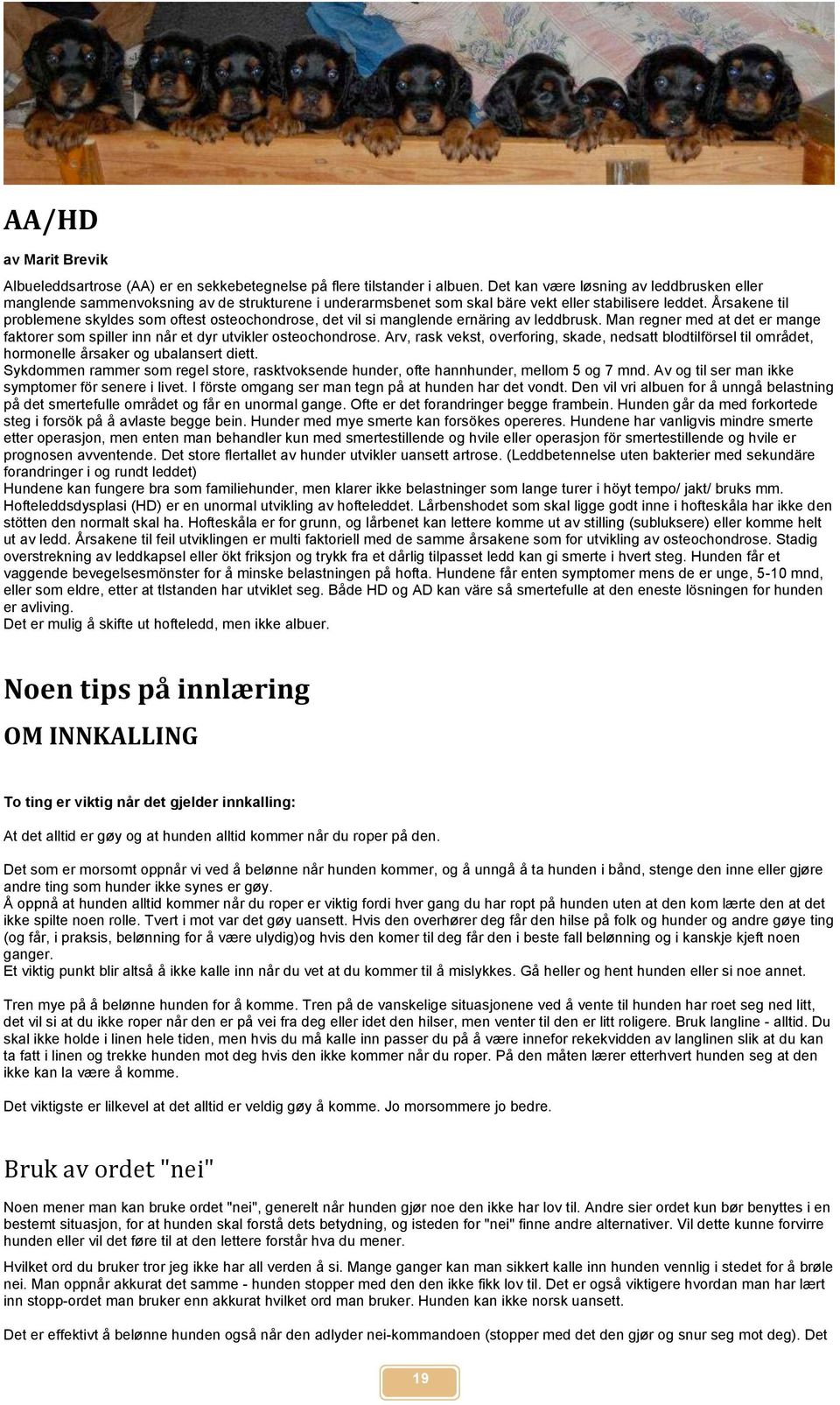 Årsakene til problemene skyldes som oftest osteochondrose, det vil si manglende ernäring av leddbrusk. Man regner med at det er mange faktorer som spiller inn når et dyr utvikler osteochondrose.