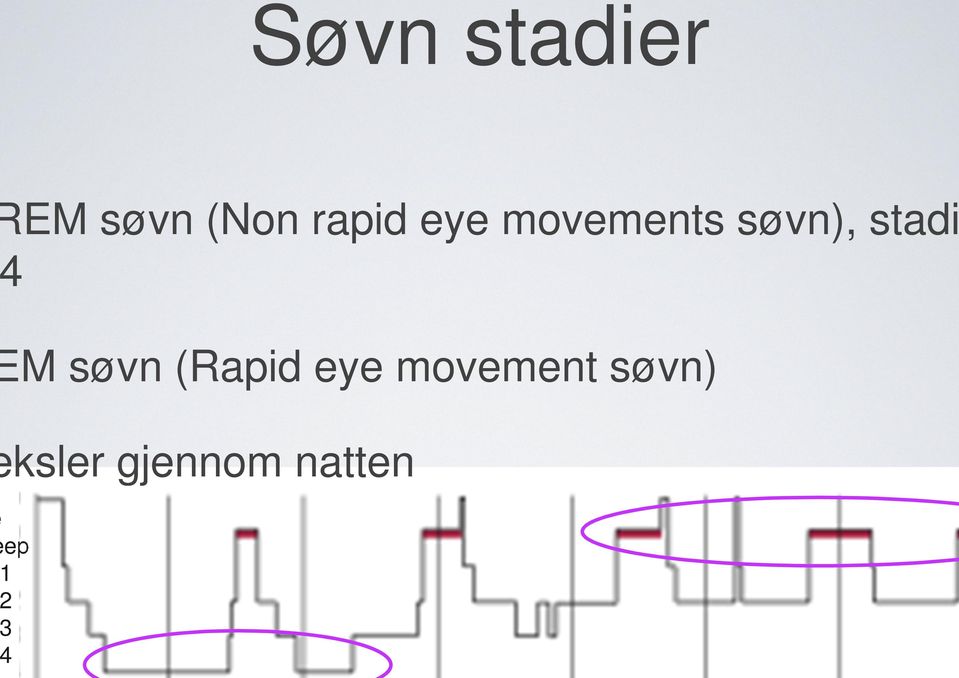 stadi M søvn (Rapid eye