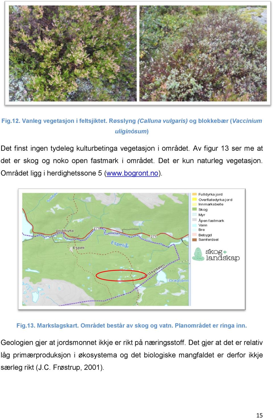 Av figur 13 ser me at det er skog og noko open fastmark i området. Det er kun naturleg vegetasjon. Området ligg i herdighetssone 5 (www.bogront.no).