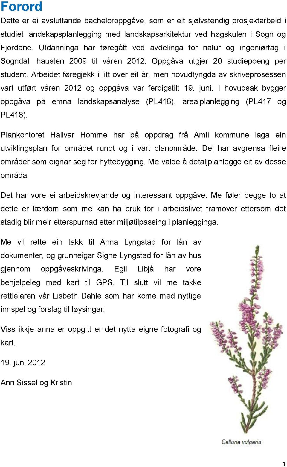 Arbeidet føregjekk i litt over eit år, men hovudtyngda av skriveprosessen vart utført våren 2012 og oppgåva var ferdigstilt 19. juni.