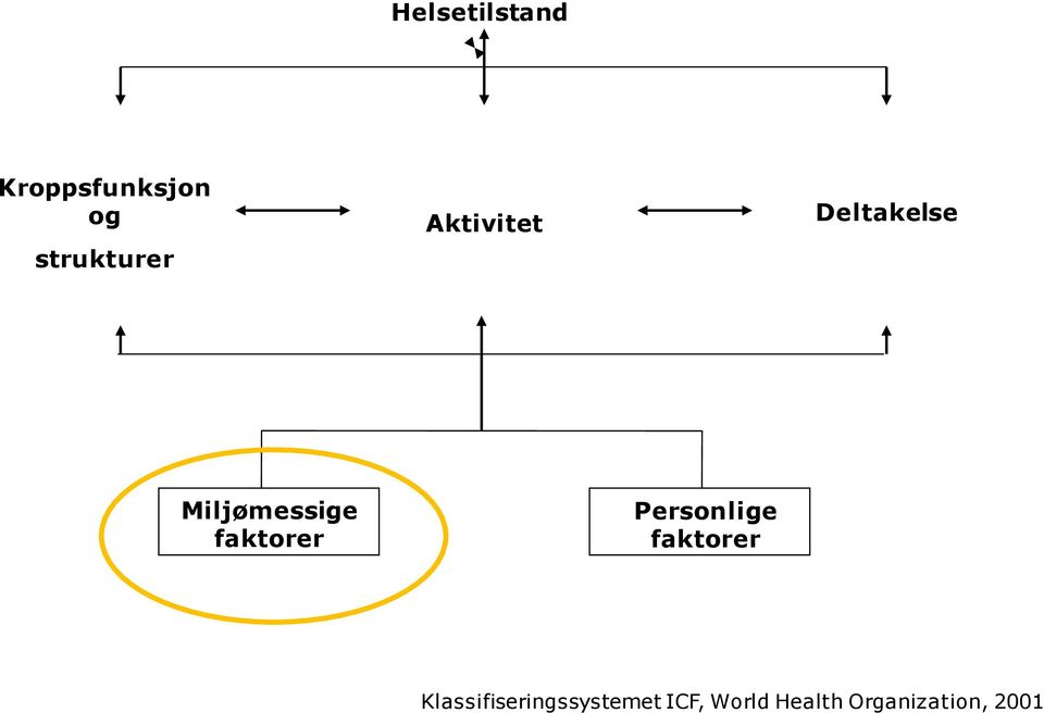 Miljømessige faktorer Personlige faktorer