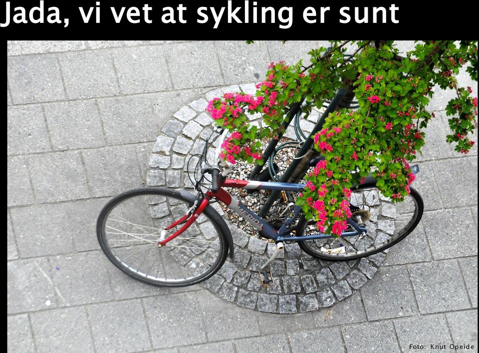 er sunt