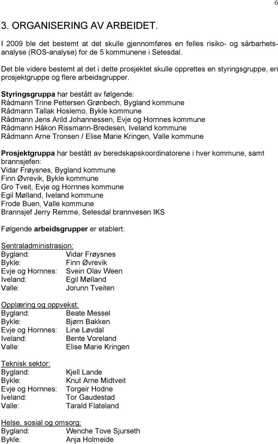 Styringsgruppa har bestått av følgende: Rådmann Trine Pettersen Grønbech, Bygland kommune Rådmann Tallak Hoslemo, Bykle kommune Rådmann Jens Arild Johannessen, Evje og Hornnes kommune Rådmann Håkon