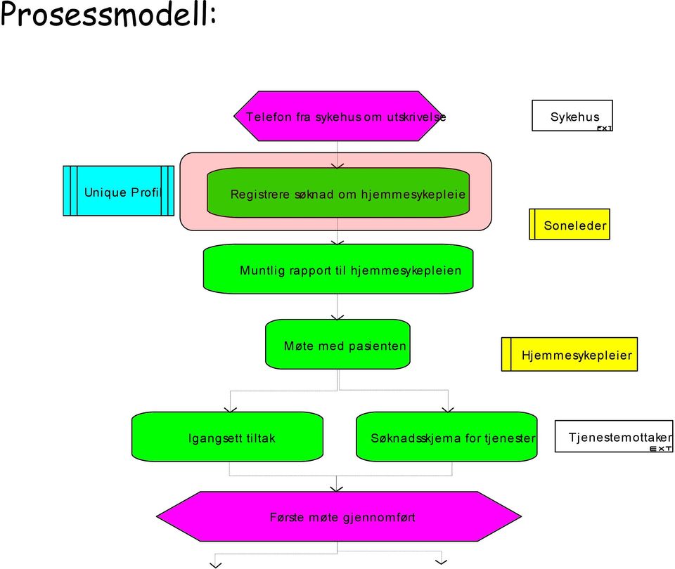 til hjemmesykepleien Møte med pasienten Hjemmesykepleier Igangsett