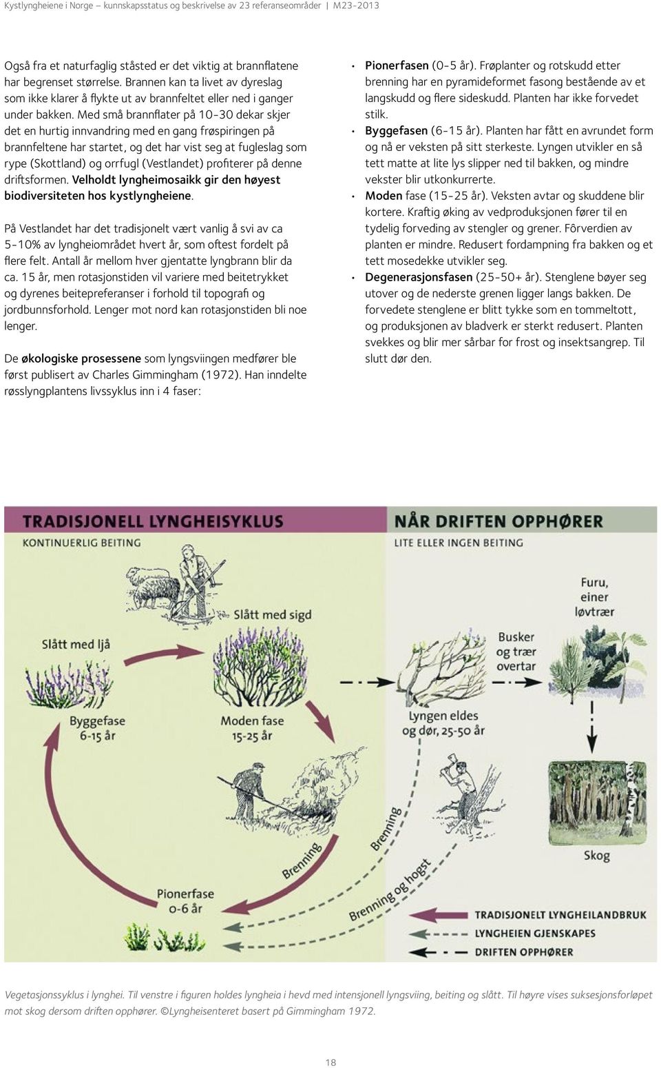 profiterer på denne driftsformen. Velholdt lyngheimosaikk gir den høyest biodiversiteten hos kystlyngheiene.