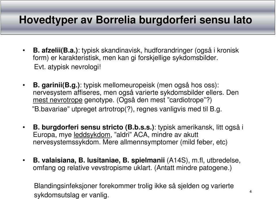 ) B.bavariae utpreget artrotrop(?), regnes vanligvis med til B.g. B. burgdorferi sensu stricto (B.b.s.s.): typisk amerikansk, litt også i Europa, mye leddsykdom, aldri ACA, mindre av akutt nervesystemssykdom.