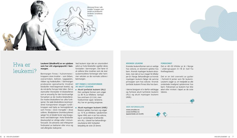 I benmargen produseres spesialiserte (modne) blodceller med begrenset levetid, og de må derfor fornyes hele tiden.