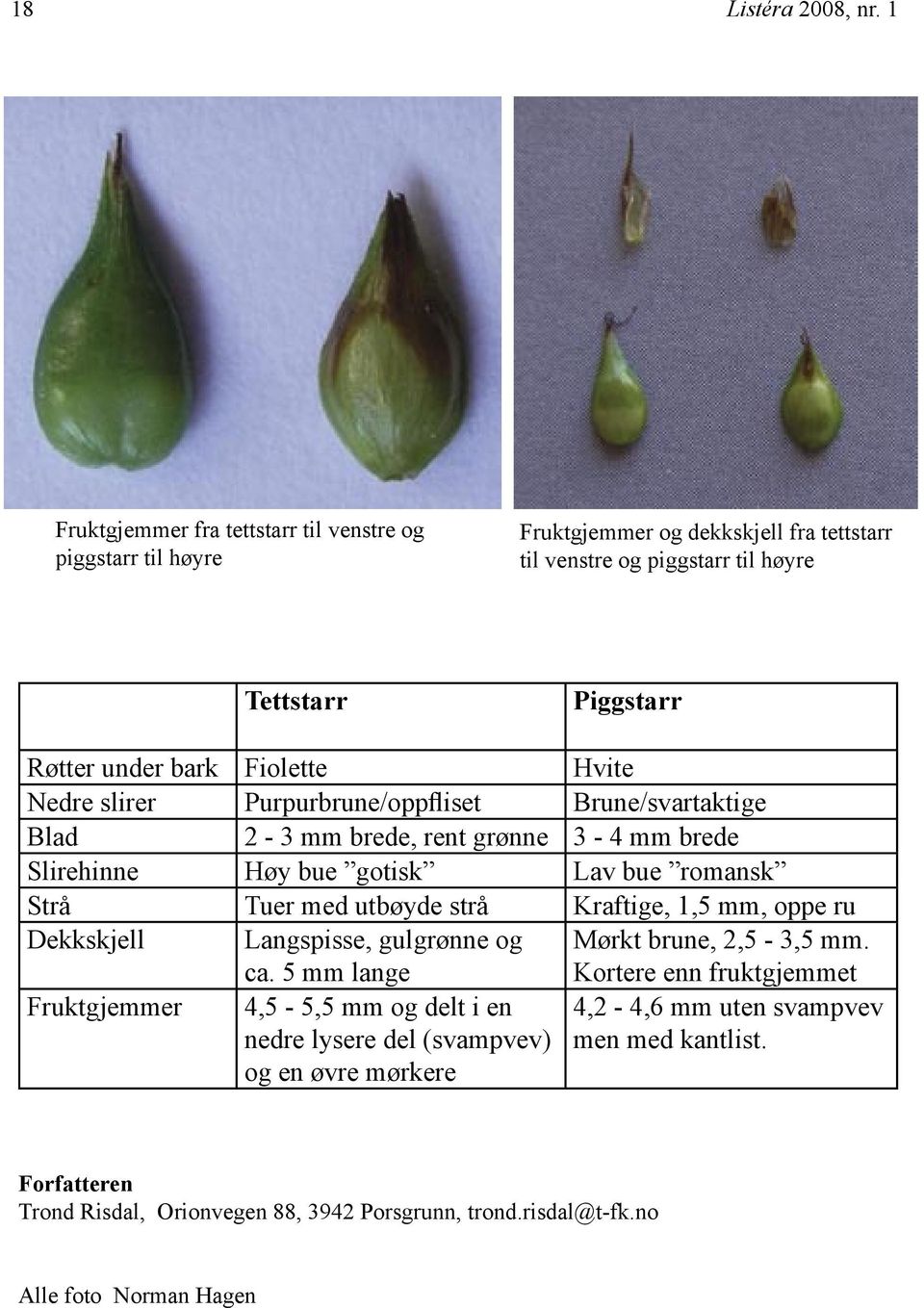 Fiolette Hvite Nedre slirer Purpurbrune/oppfliset Brune/svartaktige Blad 2-3 mm brede, rent grønne 3-4 mm brede Slirehinne Høy bue gotisk Lav bue romansk Strå Tuer med utbøyde strå