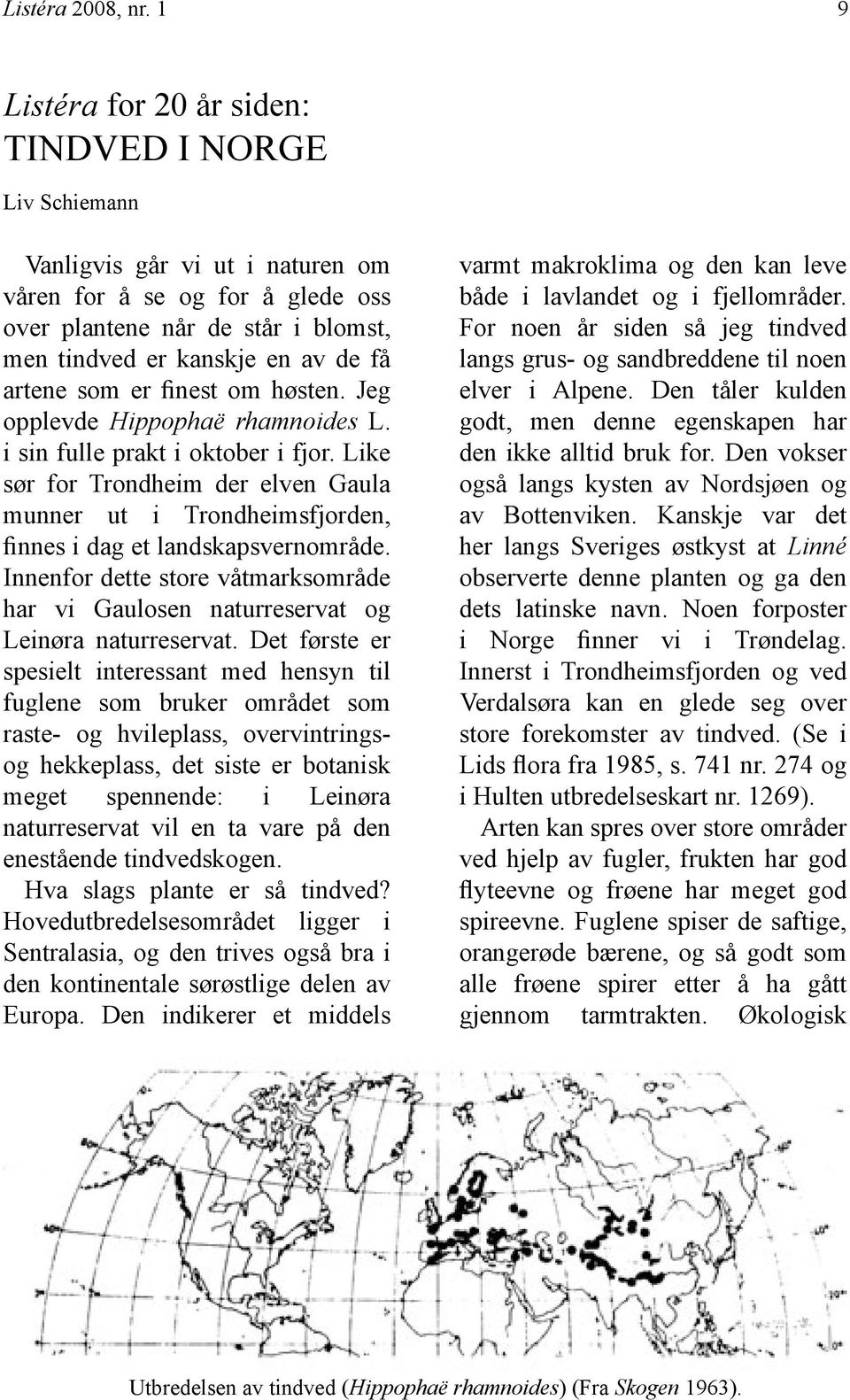 artene som er finest om høsten. Jeg opplevde Hippophaë rhamnoides L. i sin fulle prakt i oktober i fjor.