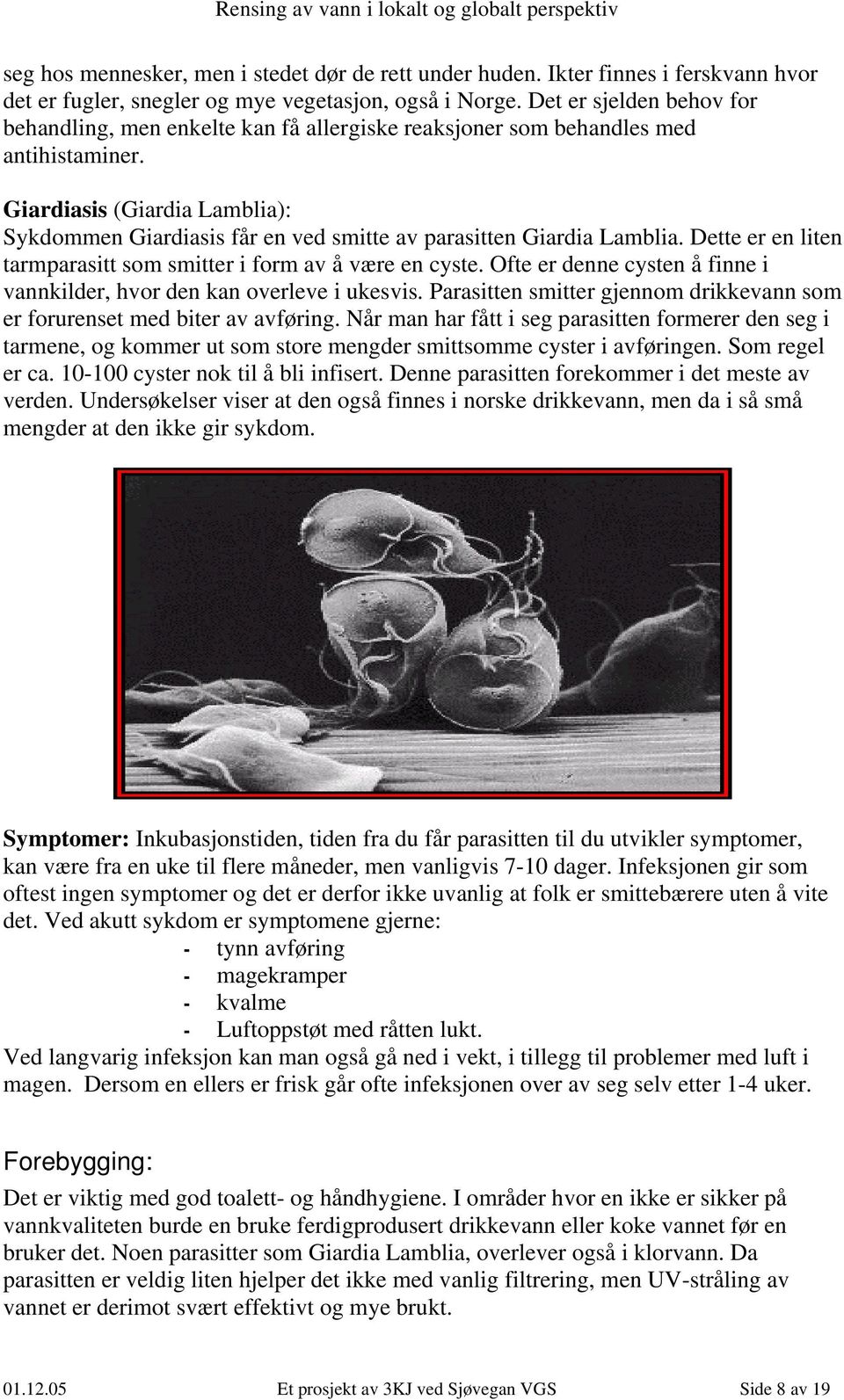 Giardiasis (Giardia Lamblia): Sykdommen Giardiasis får en ved smitte av parasitten Giardia Lamblia. Dette er en liten tarmparasitt som smitter i form av å være en cyste.