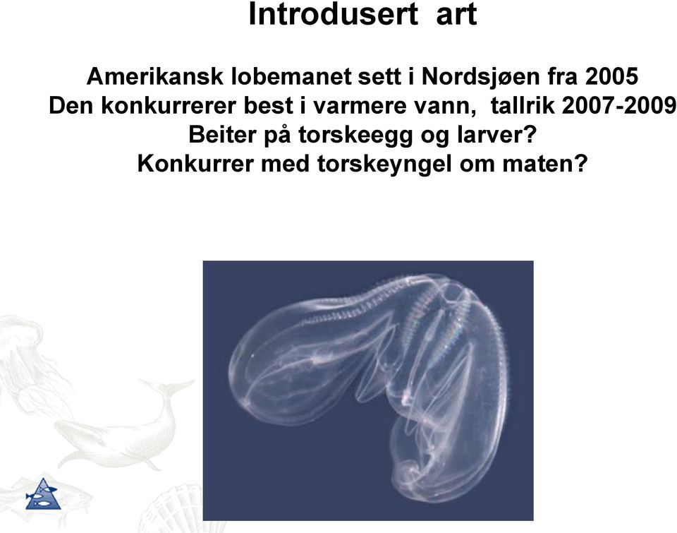 varmere vann, tallrik 2007-2009 Beiter på