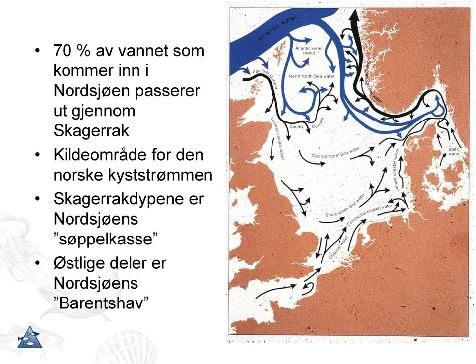 den norske kyststrømmen Skagerrakdypene er